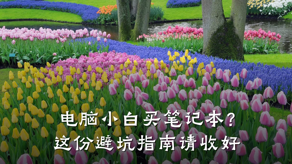 电脑小白买笔记本？这份避坑指南请收好
