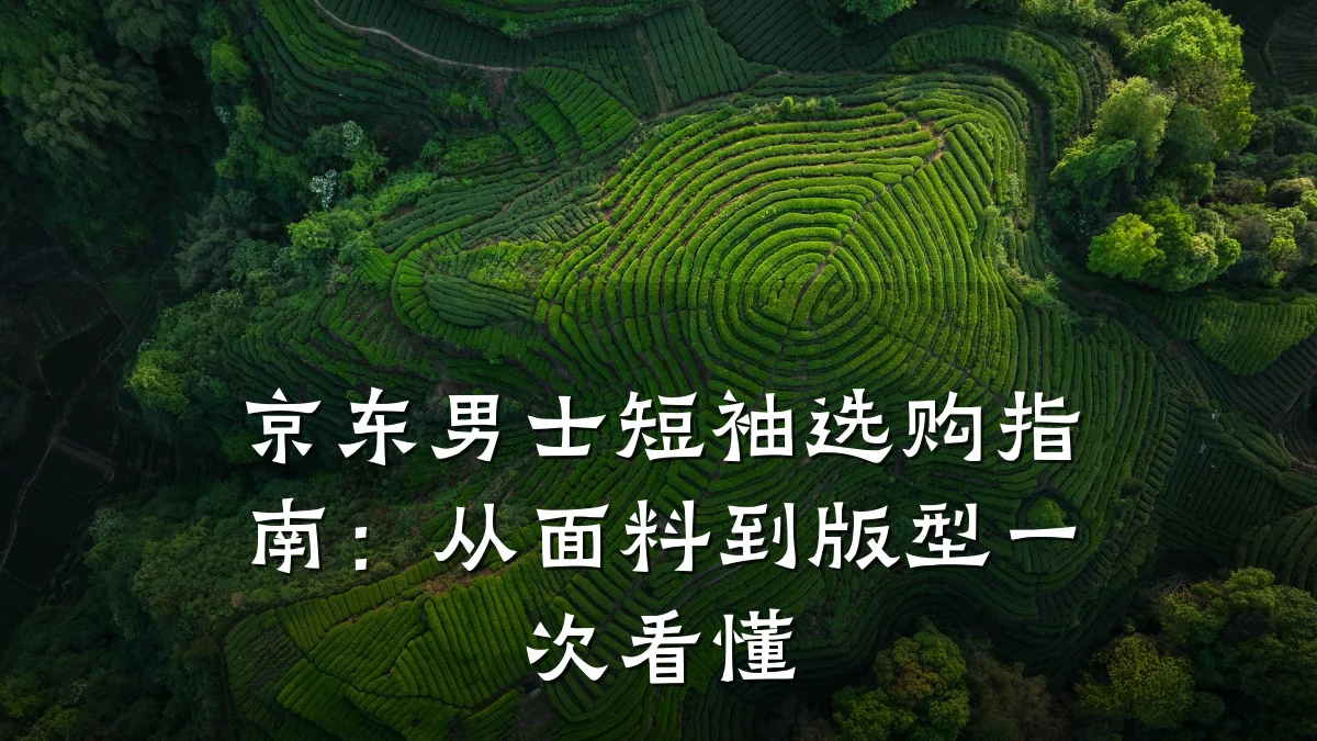 京东男士短袖选购指南:从面料到版型一次看懂