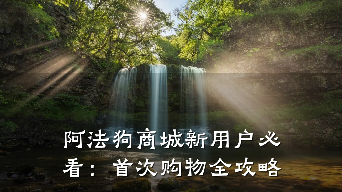阿法狗商城新用户必看:首次购物全攻略