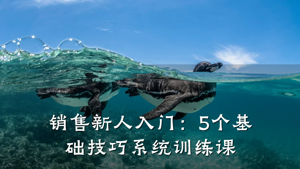 销售新人入门：5个基础技巧系统训练课