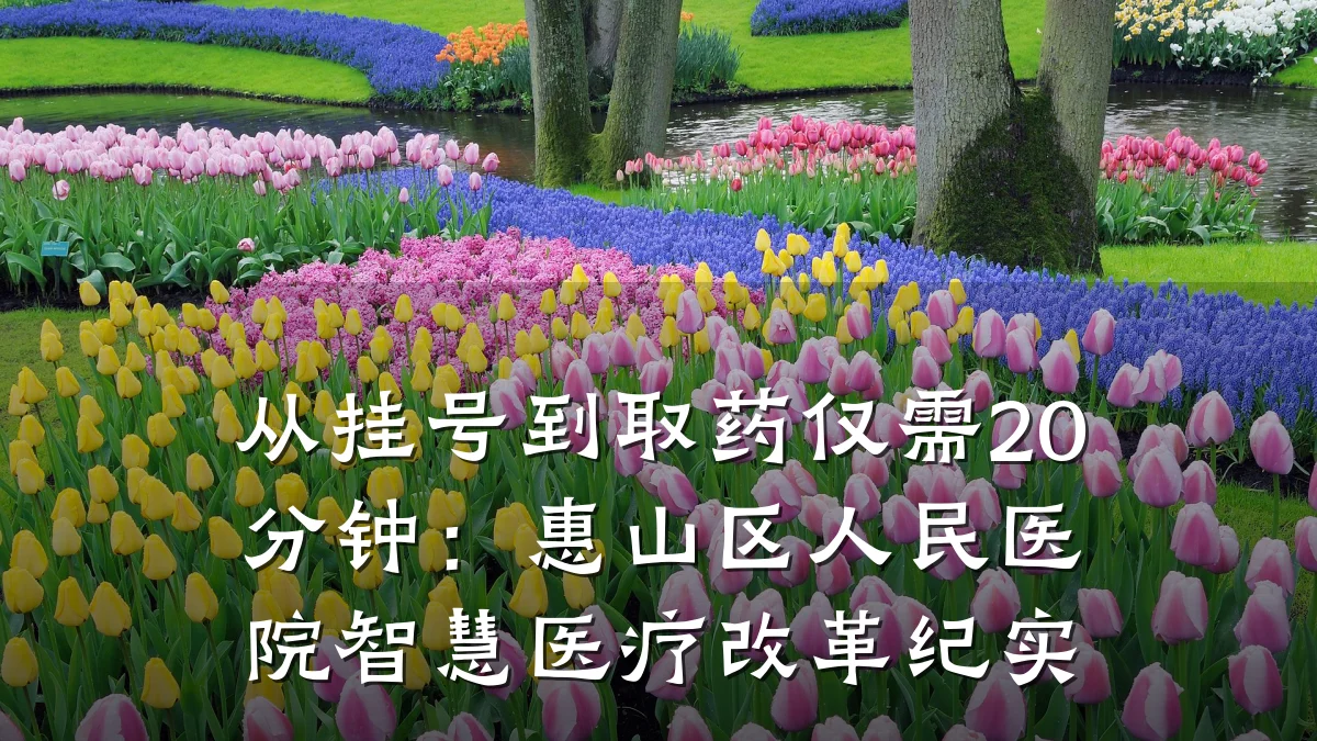 从挂号到取药仅需20分钟:惠山区人民医院智慧医疗改革纪实