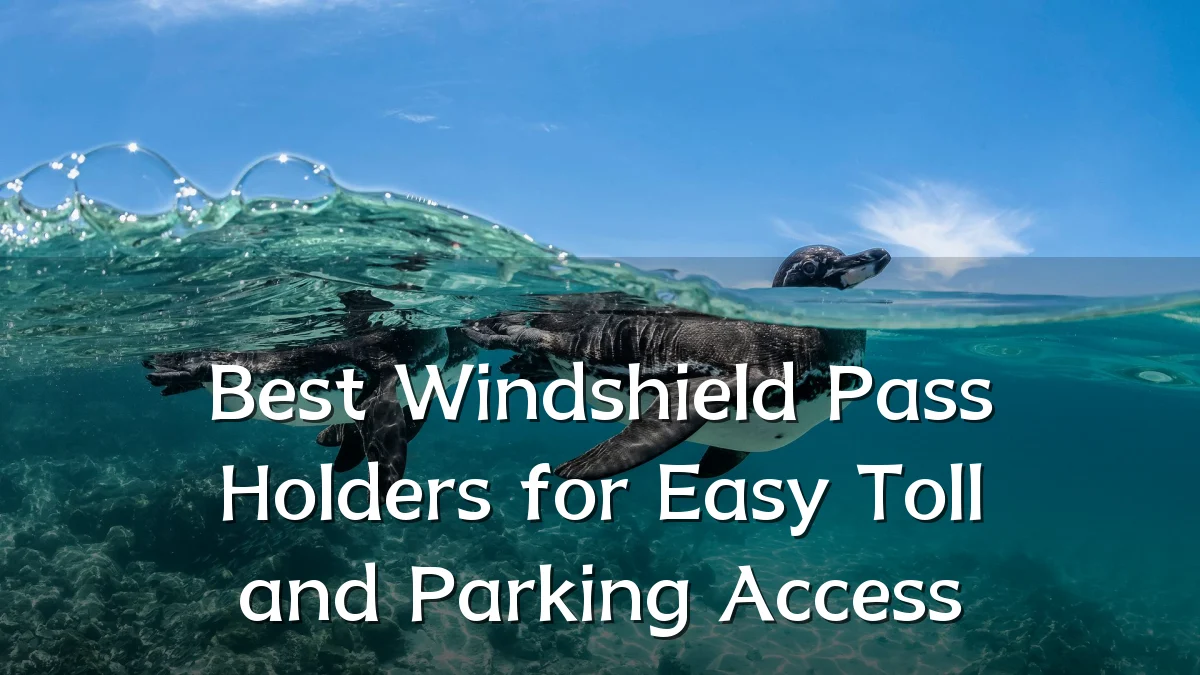 Best Windshield Pass Holders for Easy Toll and Parking Access