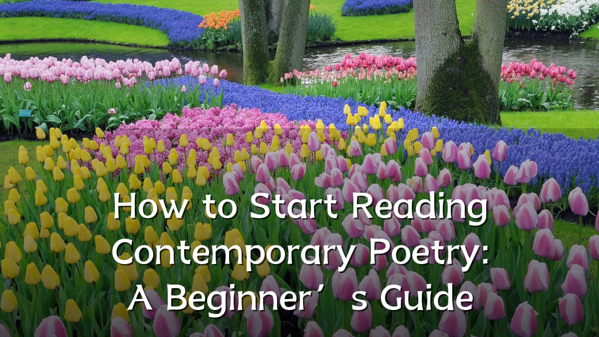 How to Start Reading Contemporary Poetry: A Beginner’s Guide