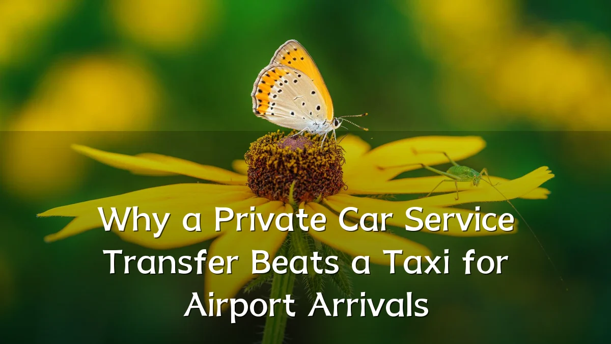 Why a Private Car Service Transfer Beats a Taxi for Airport Arrivals