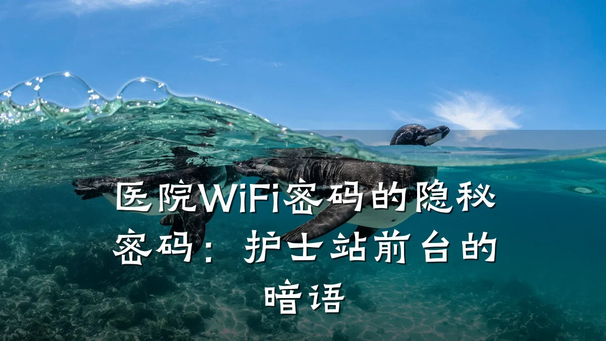 医院WiFi密码的隐秘密码：护士站前台的暗语