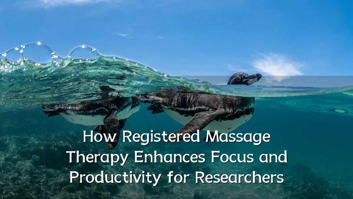 How Registered Massage Therapy Enhances Focus and Productivity for Researchers