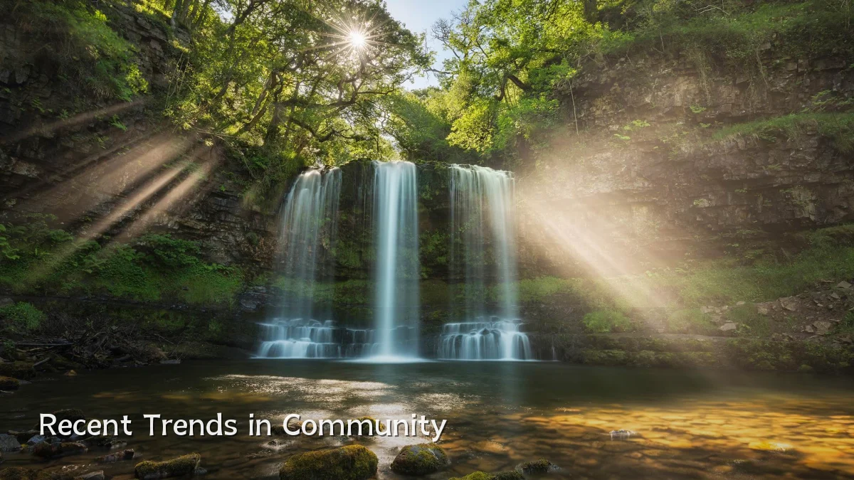Recent Trends in Community