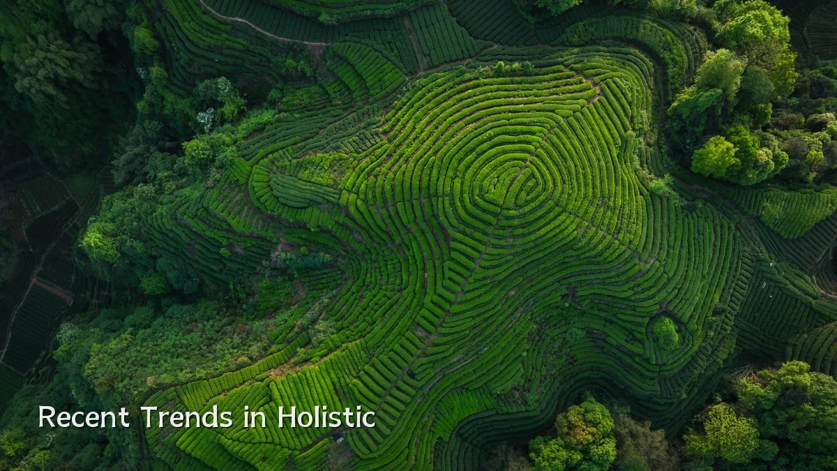Recent Trends in Holistic