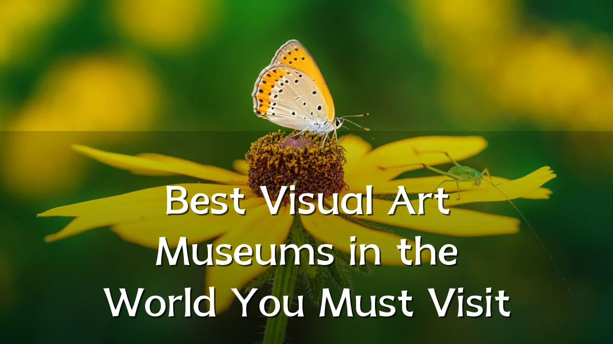 Best Visual Art Museums in the World You Must Visit
