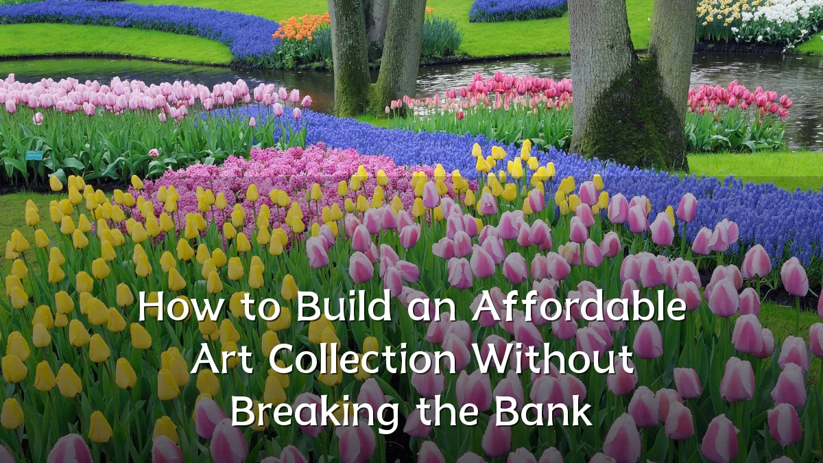 How to Build an Affordable Art Collection Without Breaking the Bank