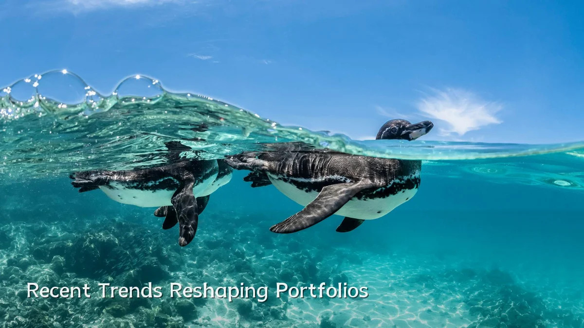Recent Trends Reshaping Portfolios