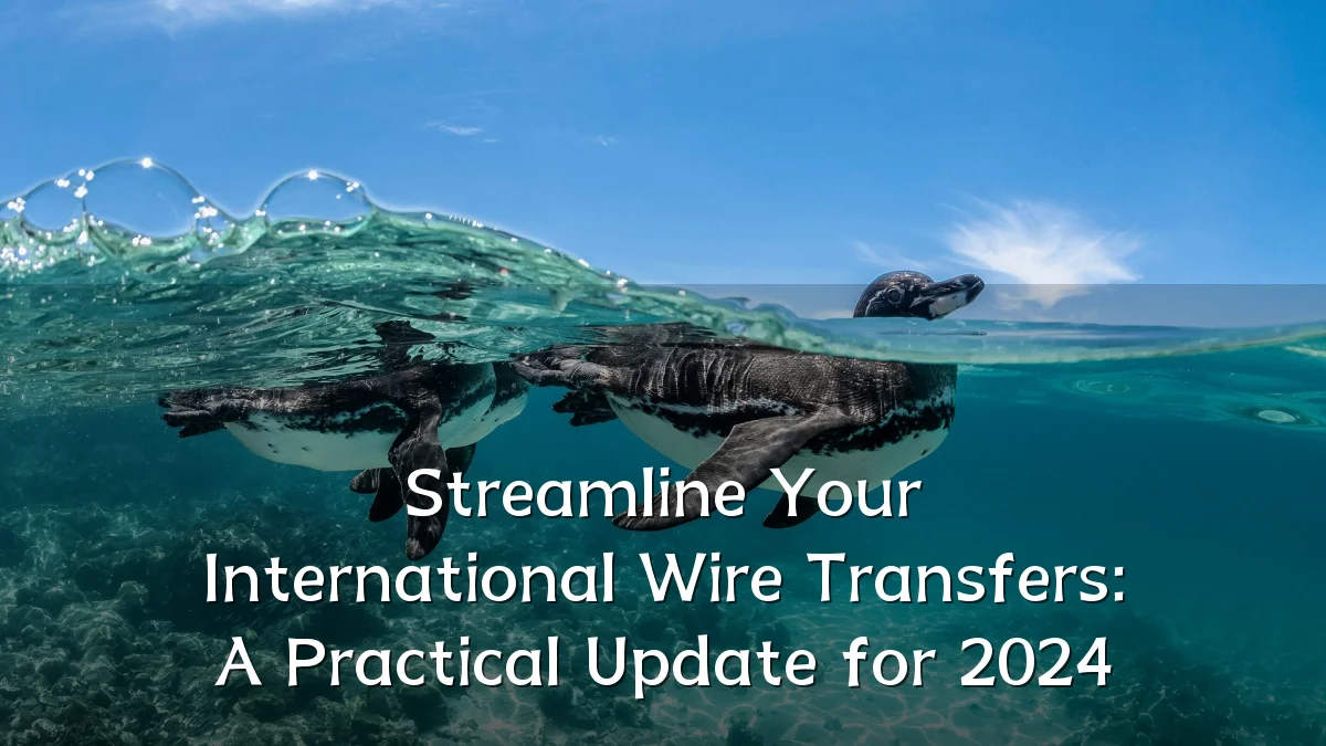 Streamline Your International Wire Transfers: A Practical Update for 2024