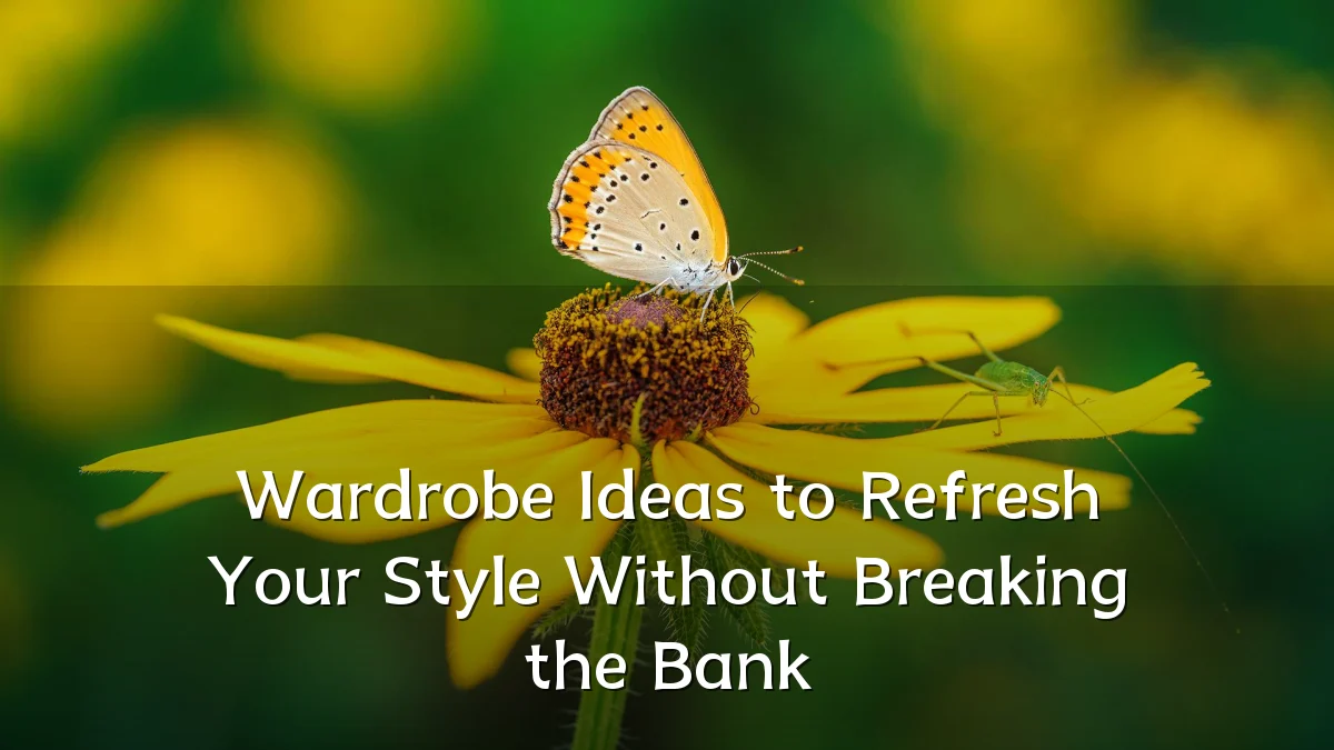 Wardrobe Ideas to Refresh Your Style Without Breaking the Bank