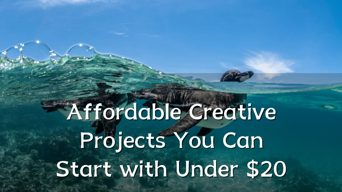 Affordable Creative Projects You Can Start with Under $20