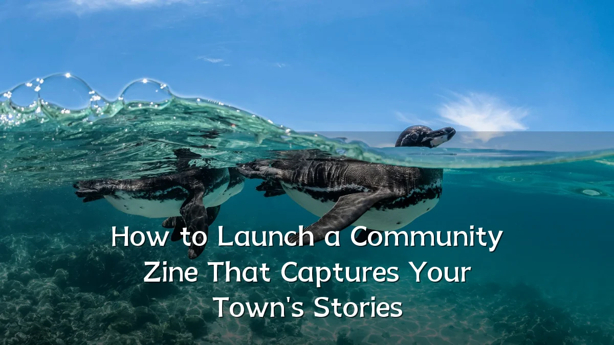 How to Launch a Community Zine That Captures Your Town's Stories