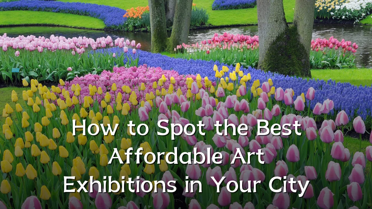 How to Spot the Best Affordable Art Exhibitions in Your City