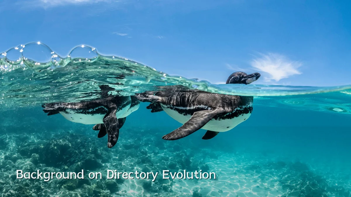 Background on Directory Evolution