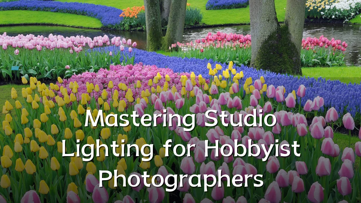 Mastering Studio Lighting for Hobbyist Photographers