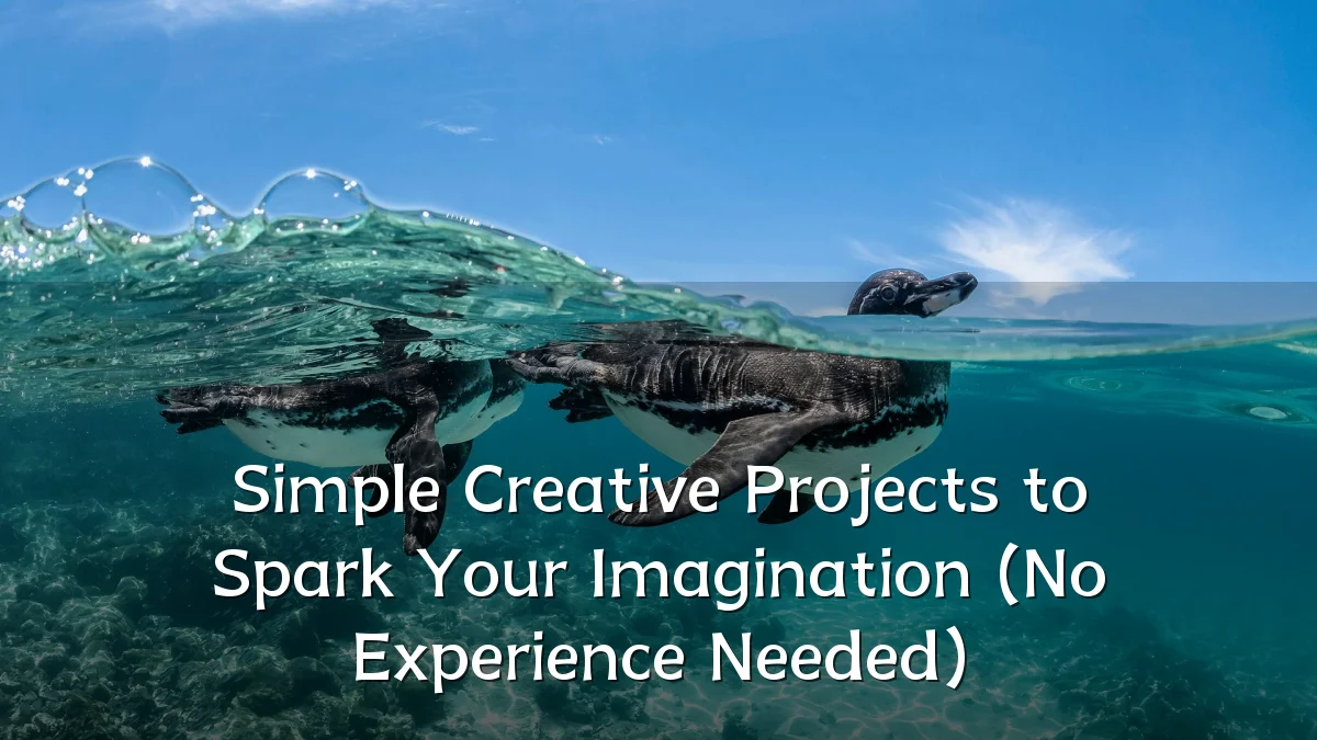 Simple Creative Projects to Spark Your Imagination (No Experience Needed)