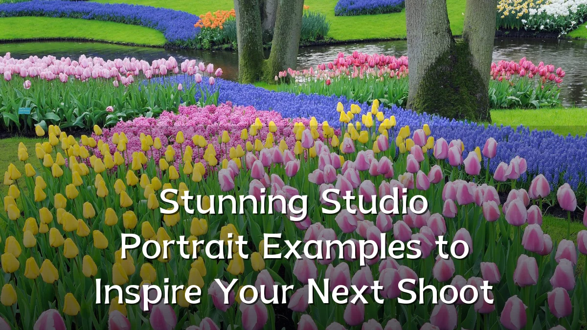 Stunning Studio Portrait Examples to Inspire Your Next Shoot