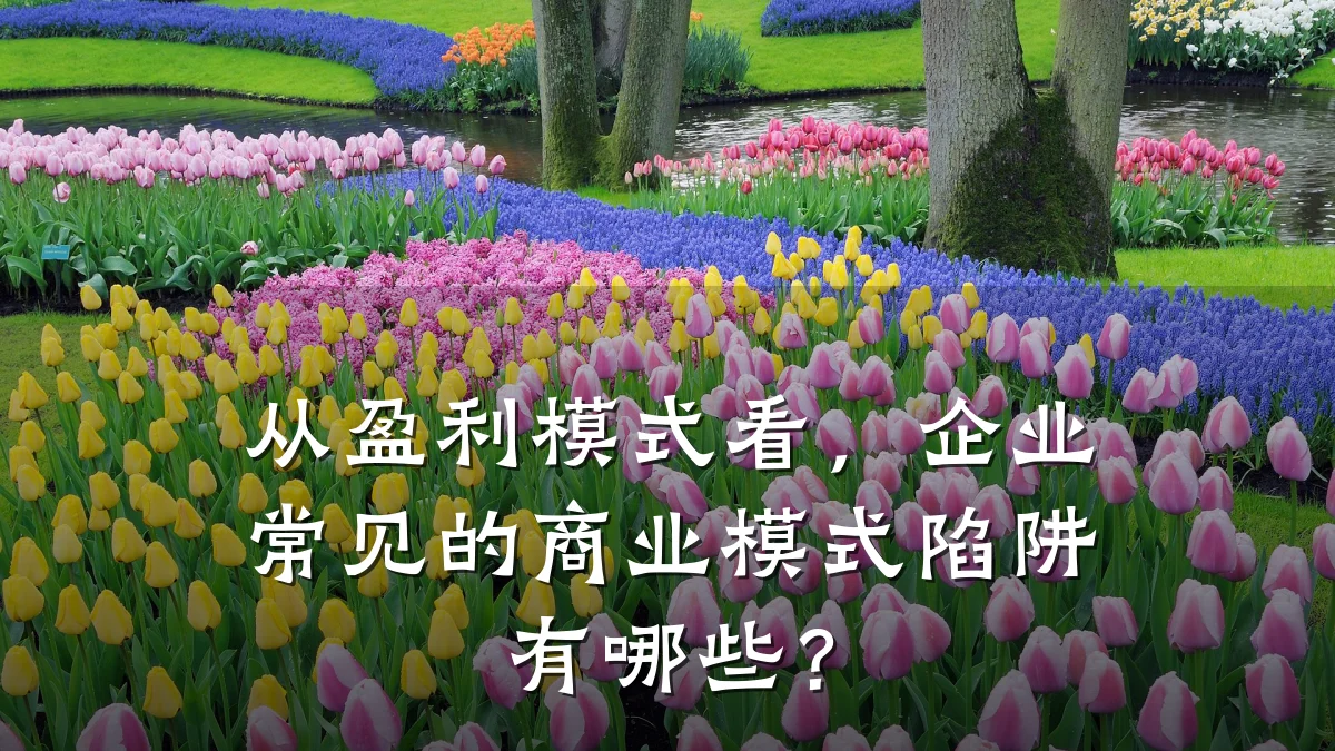 从盈利模式看，企业常见的商业模式陷阱有哪些？