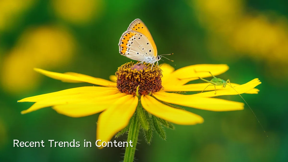 Recent Trends in Content