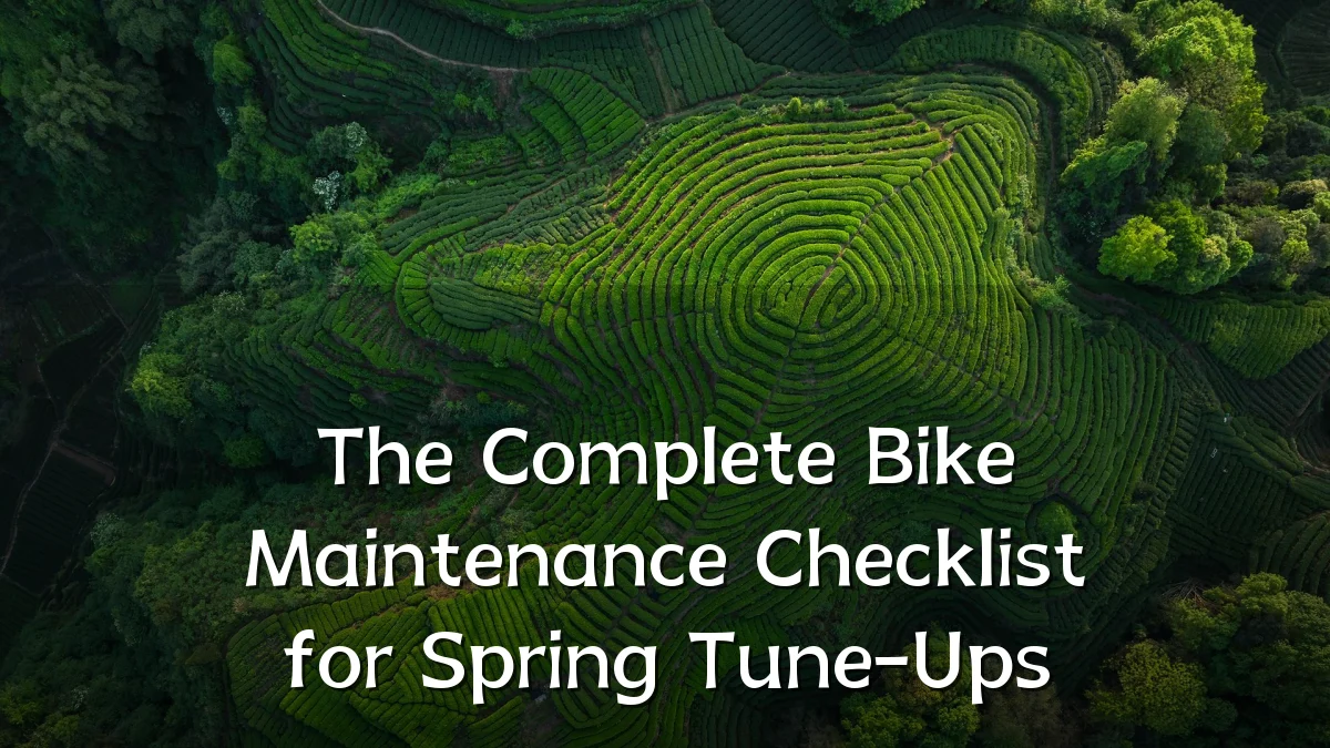 The Complete Bike Maintenance Checklist for Spring Tune-Ups